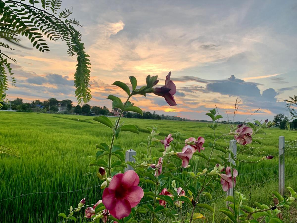 Rang Robin Farmstay With Swimming Pool Ban Wang Muang Eksteriør billede